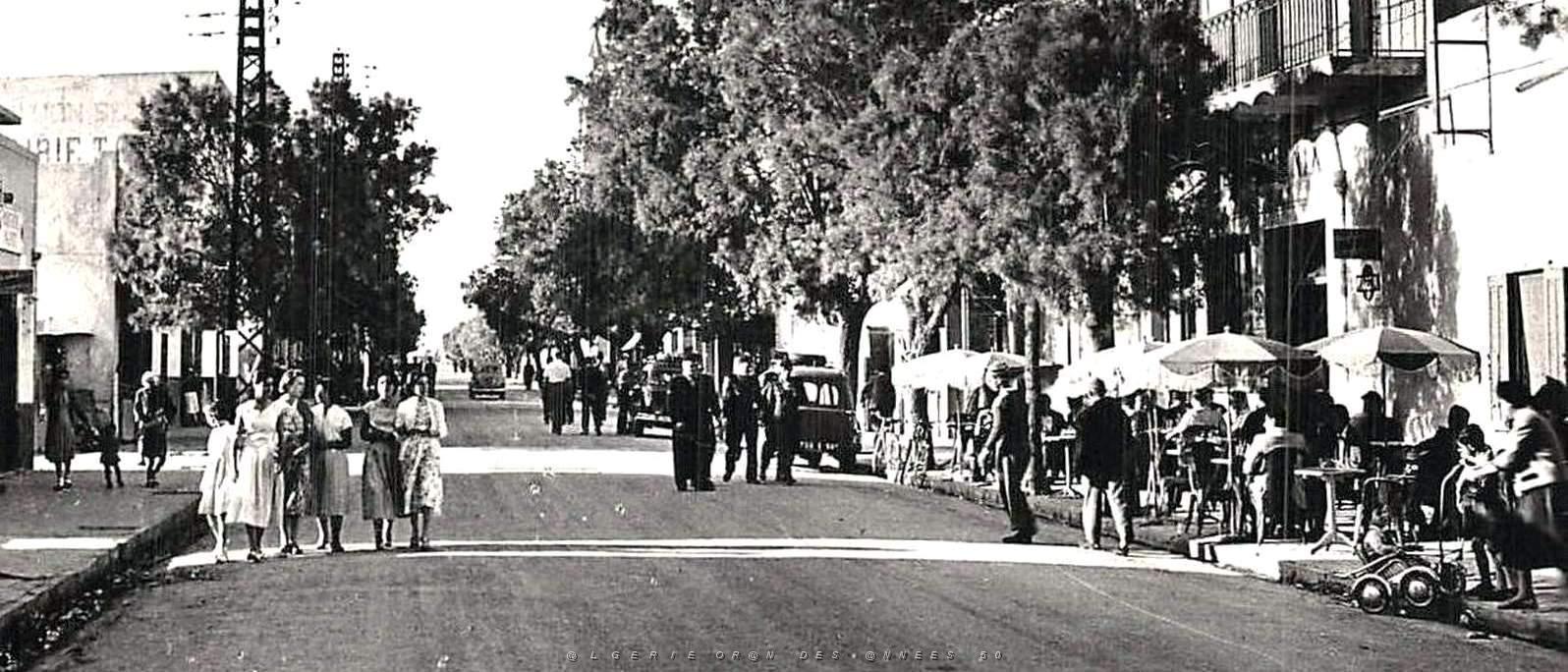 1737- Colomb-Bechar - Rue2 Poincare - 1960.jpg